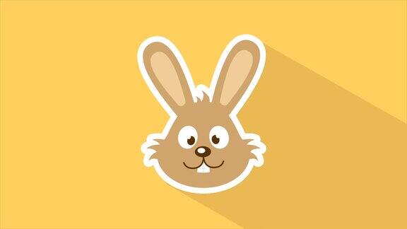 快乐兔子视频动画