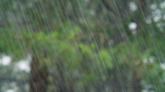 近距离拍摄森林中的雨雨林POV选择性聚焦绿化雨下得很大洪水在春天秋天夏天环境问题