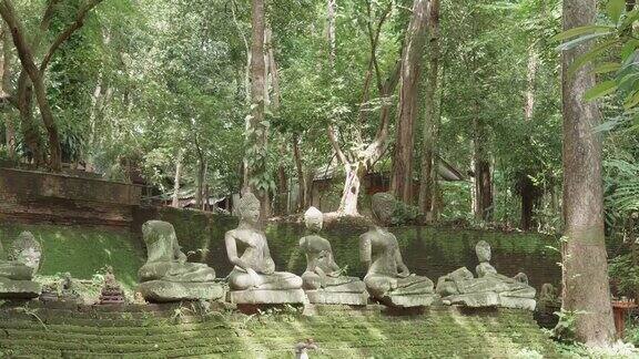 泰国清迈乌蒙寺的破佛像和青苔
