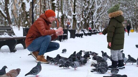小男孩和爸爸在喂鸽子一个孩子和他的父亲在冬季公园的雪地里玩鸟