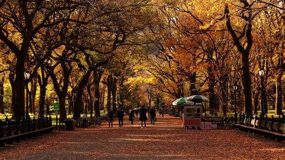 中央公园的秋天