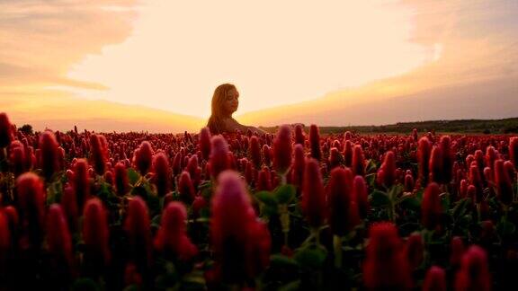 快乐的女孩在夕阳花丛中旋转