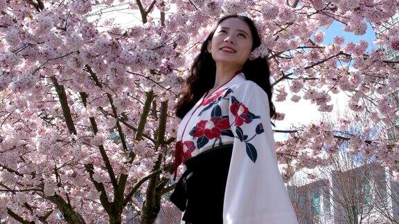 穿着和服的年轻亚洲妇女樱花日本传统服装