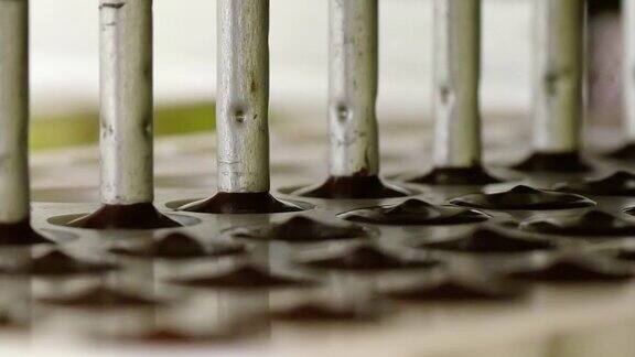 糖果生产巧克力的生产线巧克力机-倒入模具