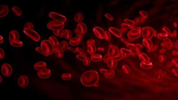 红细胞在动脉中在体内流动医务人员