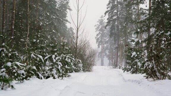 松林里下雪了