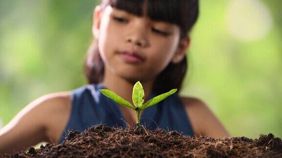小女孩种植和浇灌植物