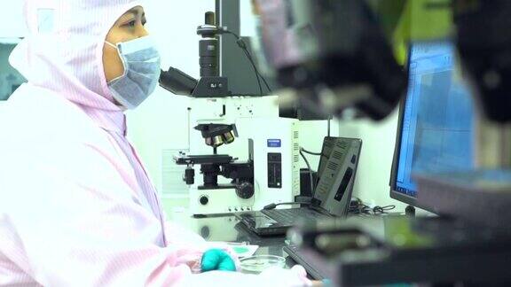 科学家用显微镜分析细菌培养