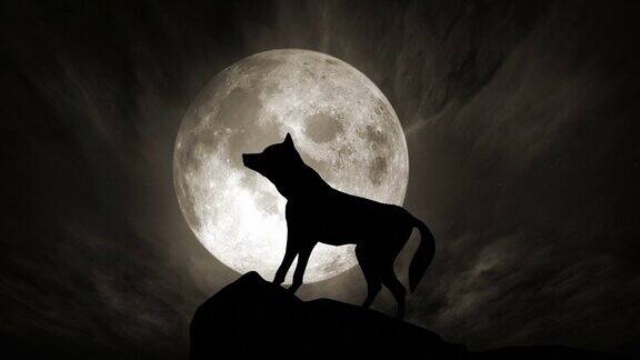 狼与月亮(可循环)