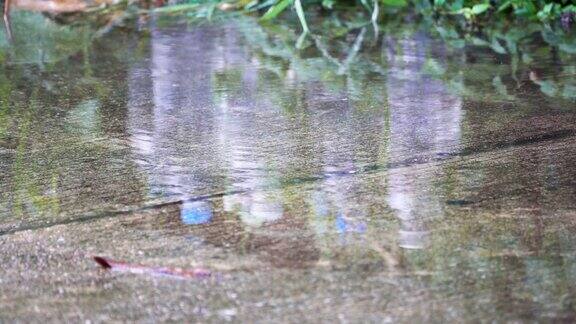 雨后水壶在地板上的倒影