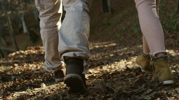 在森林里行走的徒步旅行者
