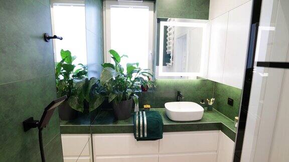现代豪华浴室-绿色和白色瓷砖与黑色元素