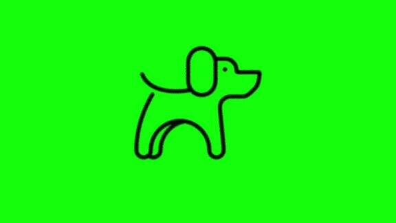 透明的黑色宠物狗狗小狗图标平坦的绿色屏幕10动画色度键