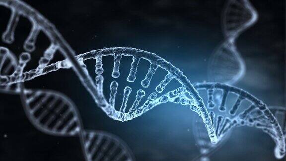DNA链慢动作