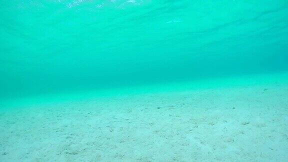4K慢镜头水下特写:水下世界的无尽的海洋泻湖与白色的沙底