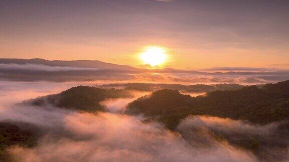 美丽的早晨景色与雾金光日出
