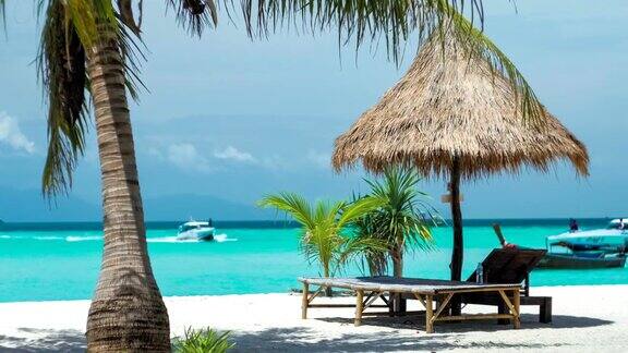 沙滩椅、雨伞和沙滩上的棕榈树乘坐快艇的游客利比岛泰国亚洲