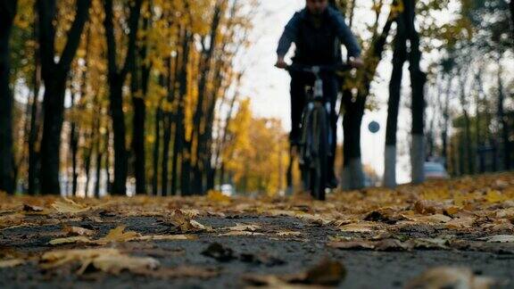 在秋天的日子里年轻人骑着自行车穿过城市公园的彩色树木户外骑自行车的运动健将枯黄的叶子躺在公园的小路上健康的生活方式前视图慢动作