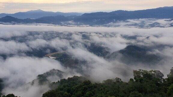 清晨的热带雨林雾和薄雾笼罩着高山