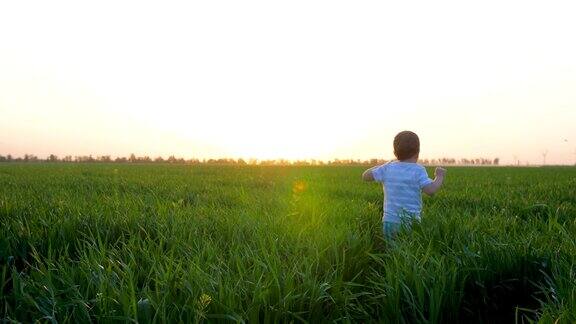 快乐的孩子跑进绿色的田野快乐的孩子在夕阳下跳进草地可爱的孩子在户外慢镜头玩耍
