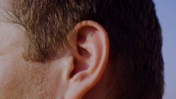 靠近男性的左耳人的耳朵听信息或声音头部部位和人体解剖