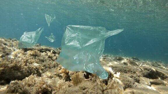 鱼在被塑料袋污染的海里游泳
