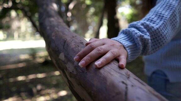 近距离看女人的手在森林里触摸着树干