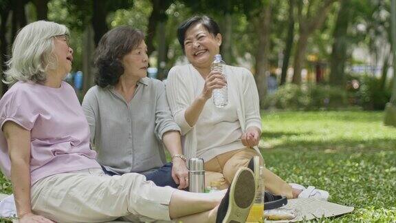 退休中国女性朋友在公园放松