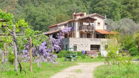 可爱的乡村小屋墙上长满了鲜花