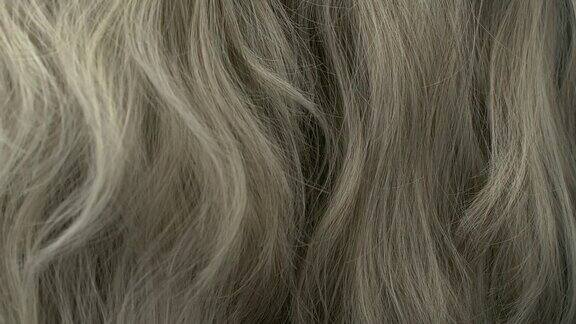 慢动作美丽的金发灰色长光滑卷曲的头发纹理背景