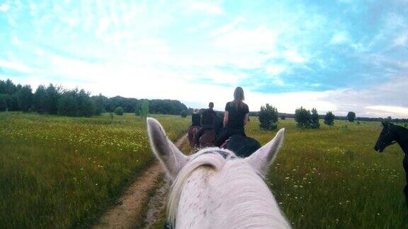 白马在田野上跟着骑马的女人