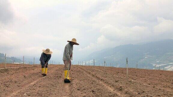 亚洲男性农民在山上用锄头挖土