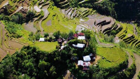 菲律宾梯田农业景观航拍