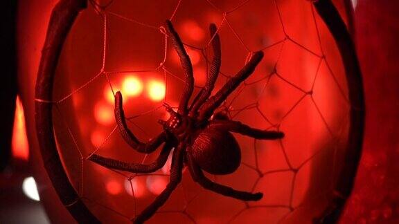 黑蜘蛛在红色的灯光下为万圣节