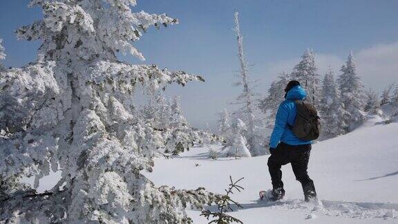 旅行Cinemagraph的人走与雪鞋在冬季森林景观