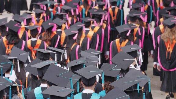 后视图大学毕业生们身着毕业服头戴毕业帽