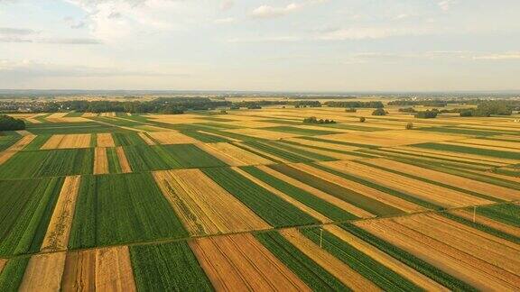 空中农业在斯洛文尼亚的农村