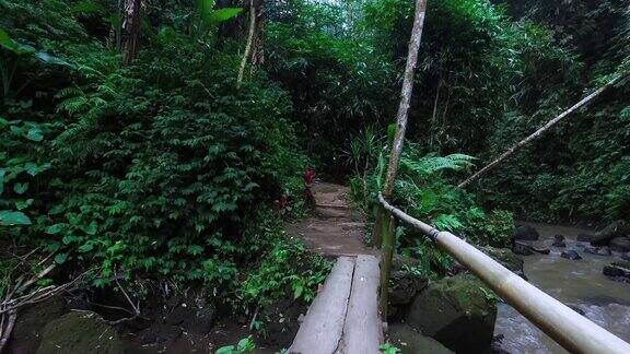 漫步巴厘岛丛林