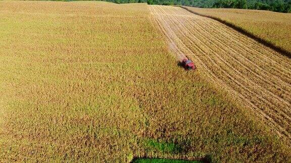 无人机拍摄的联合收割机在田里收割谷物