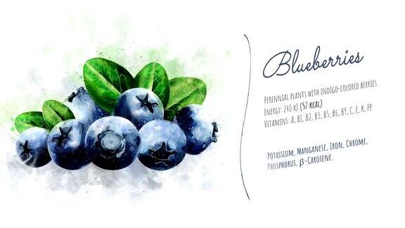 蓝莓的有用特性