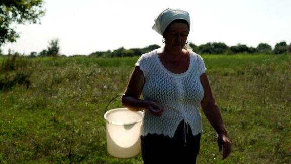 中景行走的老村妇女的头和一个空塑料桶在手里