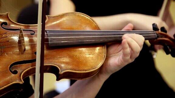 小提琴乐器女人在拉小提琴