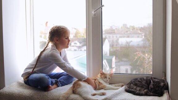 一个带着猫的小孩坐在窗台上望着外面的街道孩子和动物的友谊