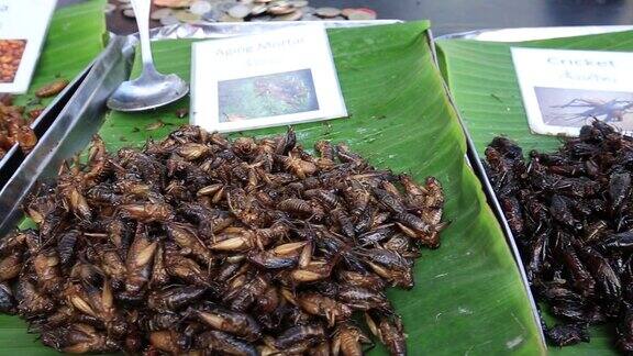 泰国街头小吃:烤香粉虫虫子油炸幼虫泰国