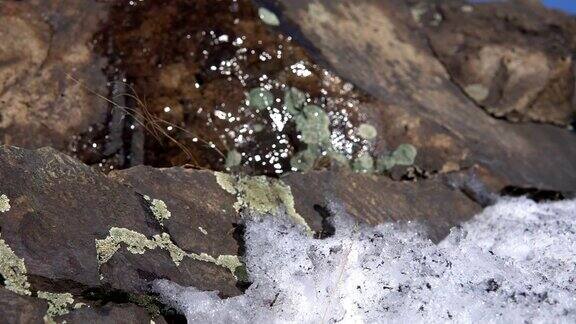 流过岩石上融化的雪的清冷的水流