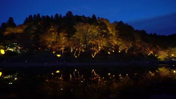 用摇盘拍摄日本名古屋古庆森林公园夜间灯光照明