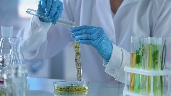 实验室工作人员倾倒化学液体草药管香水提取美容