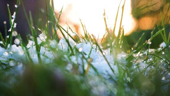 冬天雪花飘落在绿色的草地上