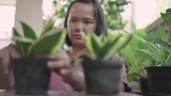 女人移花盆种植植物