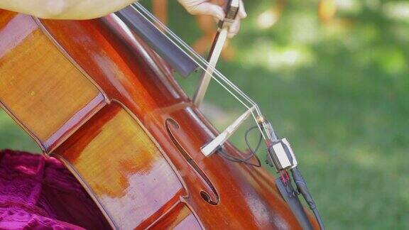 庭外大提琴演奏
